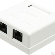 23789 Розетка  RJ-45 8p8c двойная для сети кат. 5e TWT (TWT-SM2-4545-WH) (Инструменты для СКС, коннекторы, розетки / Инструменты для СКС, коннекторы, розетки) - It-monolit: компьютеры, и комплектующие.